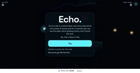 Echo: the game's start screen